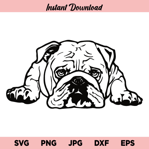 American Bulldog SVG, Peeking American Bulldog SVG, Bulldog SVG, American Bulldog, SVG, PNG, DXF, Cricut, Cut File, Clipart, Instant Download