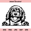 Goldendoodle Dog SVG, Peeking Goldendoodle Dog SVG, Goldendoodle SVG, Cute Goldendoodle SVG, Golden Doodle SVG, PNG, DXF, Cricut, Cut File