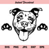 American Pit Bull SVG, American Pit Bull Dog SVG, American Pit Bull SVG File, American PitBull SVG, Peeking Happy Smiling Dog Paw Puppy Pet Terrier Breed Canine Purebred Pedigree American Pit Bull, SVG, PNG, DXF
