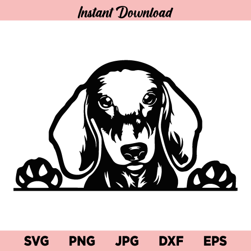 Dachshund Peeking Dog Breed SVG, Dachshund SVG, Dachshund Dog SVG, Dachshund SVG File, Peeking Dachshund Dog SVG, Puppy, Pet, Purebred, Pedigree, Dachshund, SVG, PNG, DXF