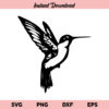 Hummingbird SVG, Hummingbird SVG File, Humming Bird SVG, Hummingbird PNG, Bird SVG, Hummingbird, SVG, PNG, DXF, Cricut, Cut File
