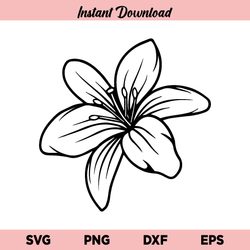 Free Free Flower Svg File 740 SVG PNG EPS DXF File