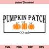 Pumpkin Patch SVG, Pumpkin Patch SVG File, Fall SVG, Halloween SVG, Autumn SVG, Pumpkin SVG, Pumpkin Patch, SVG, PNG, DXF, Cricut, Cut File