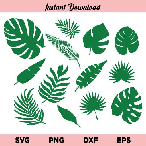 Tropical Leaves SVG